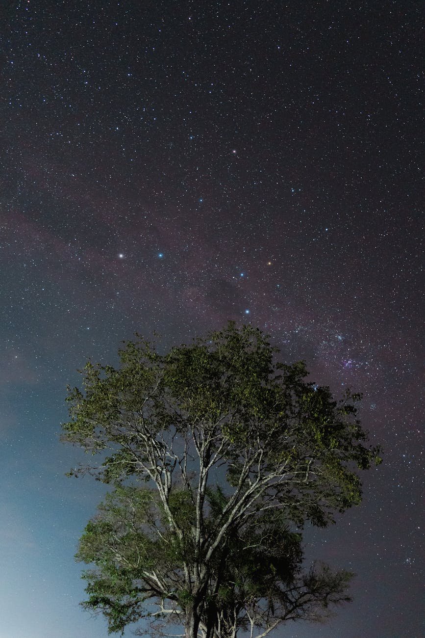 Fenômenos Astronômicos: Os Eventos Mais Aguardados do&nbsp;Universo